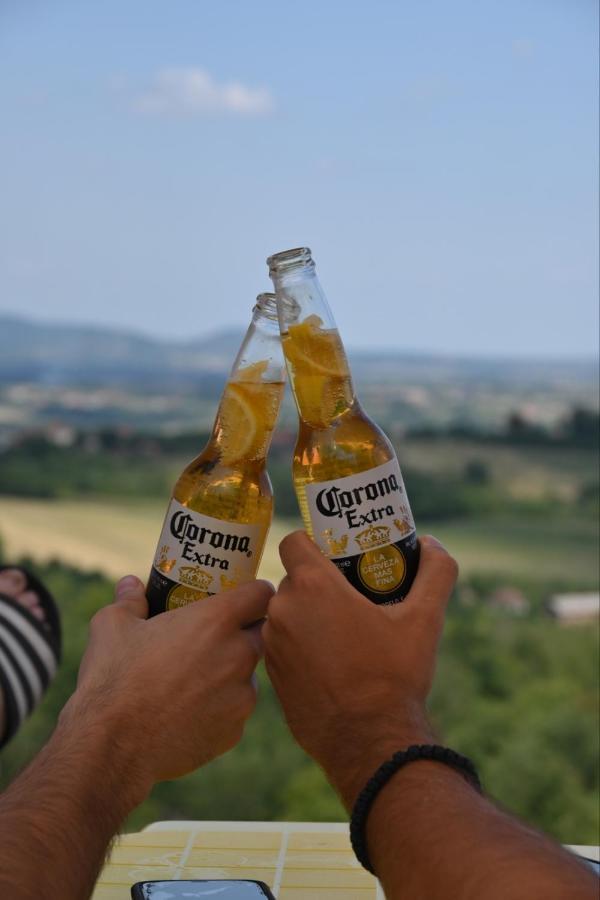 Pogled