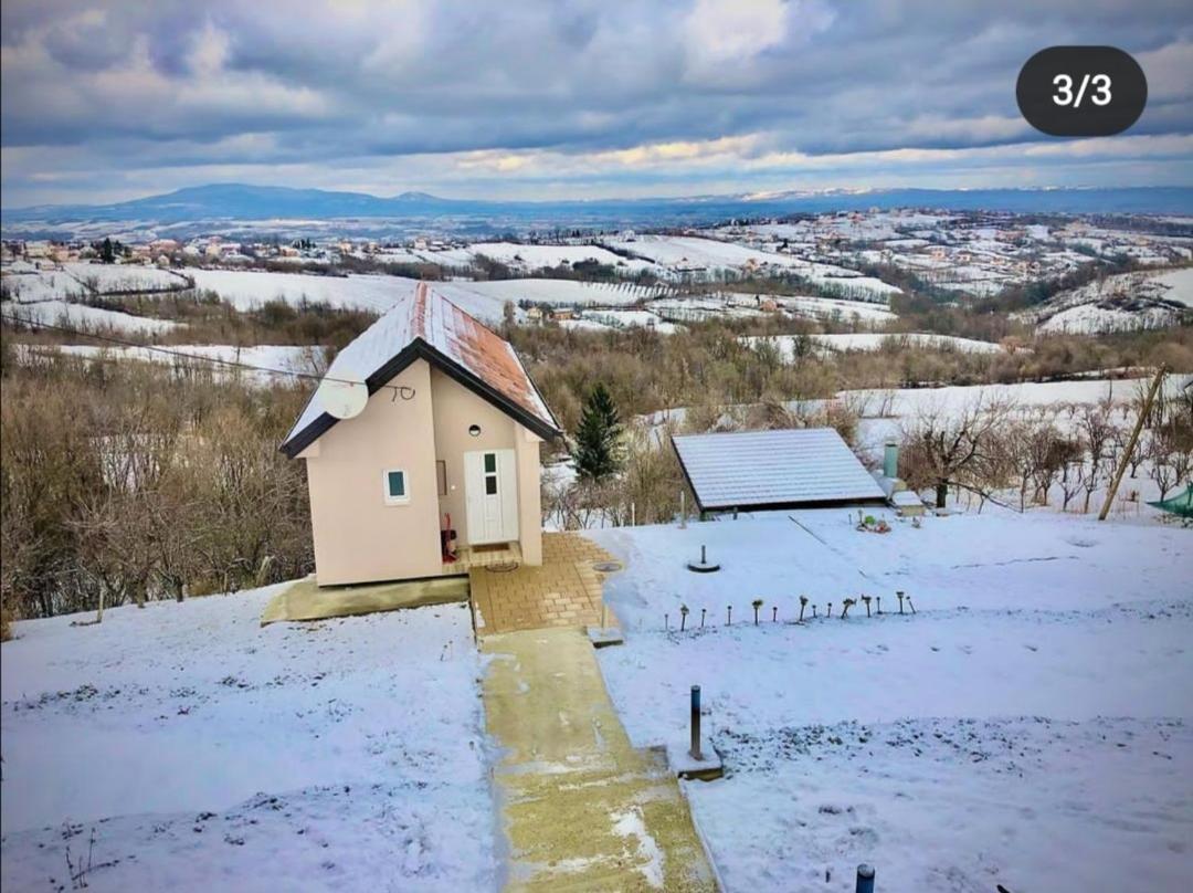 Pogled *